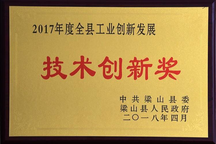 Technology Innovation Award